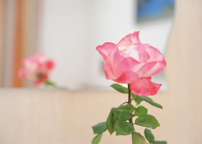 -Garni SeestrandFerienwohnung